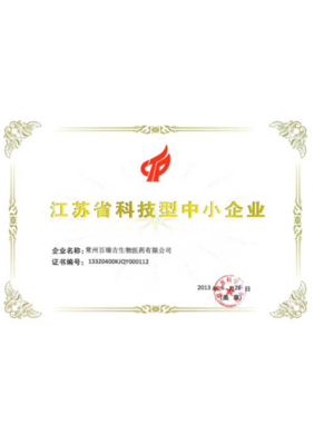 江蘇企業(yè)網(wǎng)站發(fā)展大事記 從門(mén)戶初建到數(shù)字生態(tài)演進(jìn)